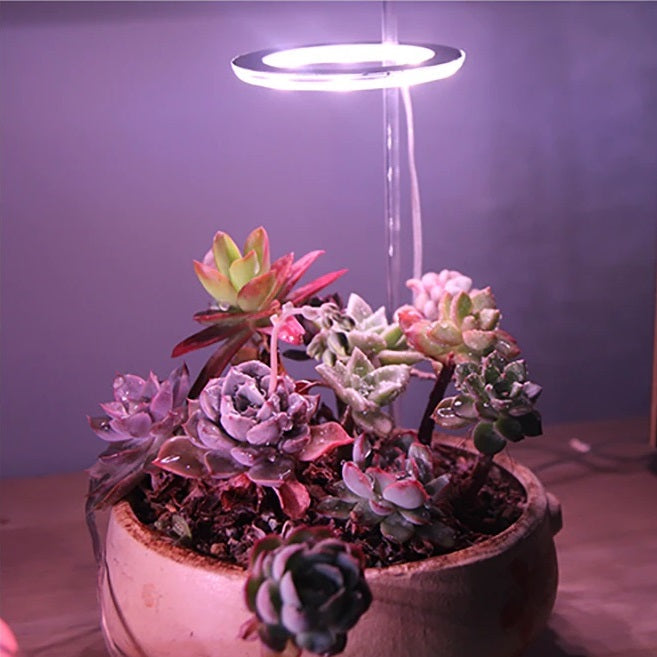 HaloGrow | Full Spectrum LED Grow Lights with Timer