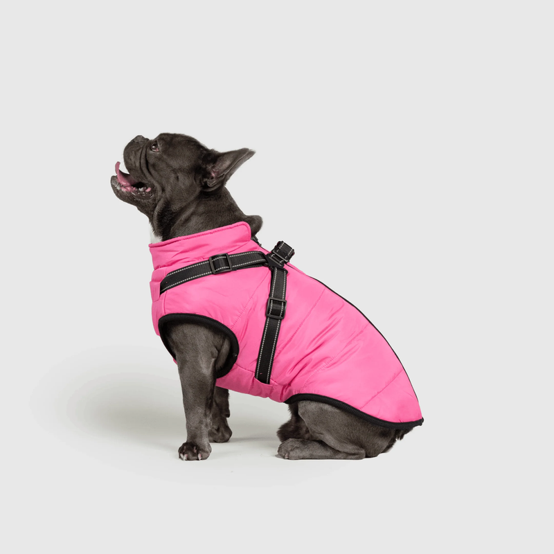3 in 1 Winter Jacket