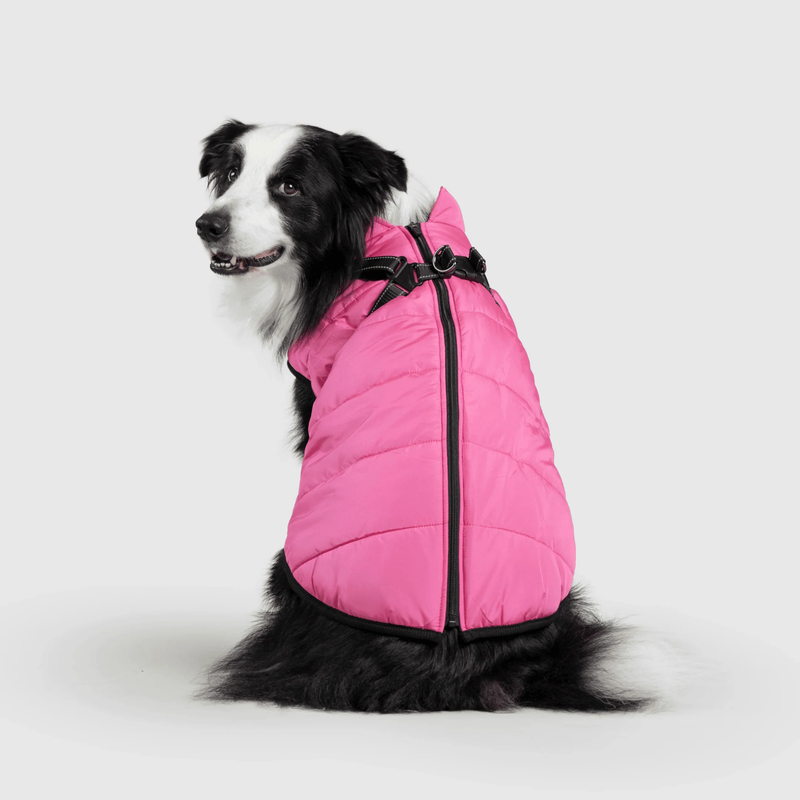 3 in 1 Winter Jacket
