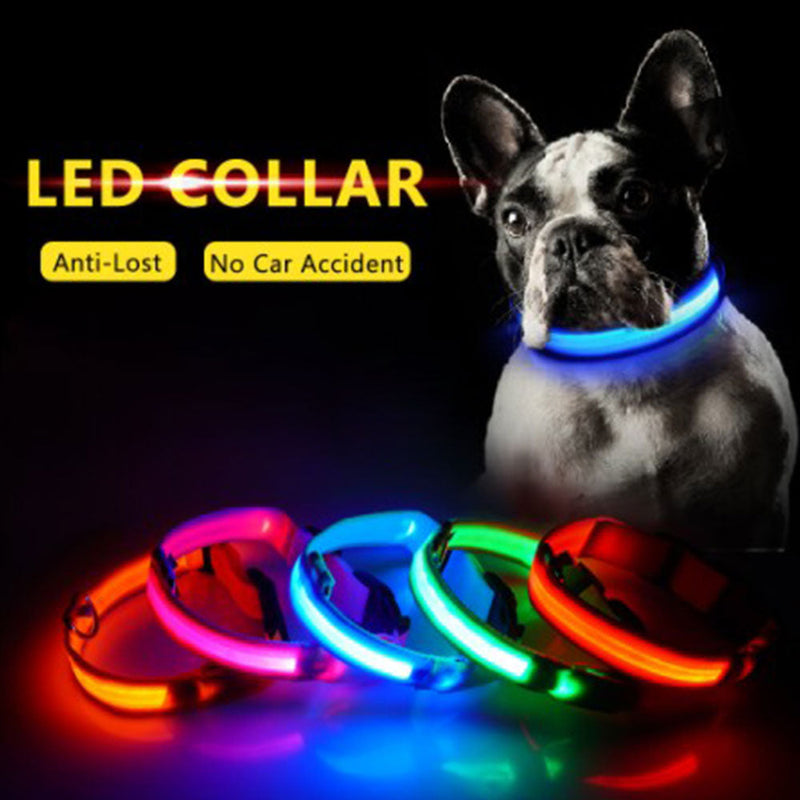 Easy-Find LED Light Dog Collar | Multi Size