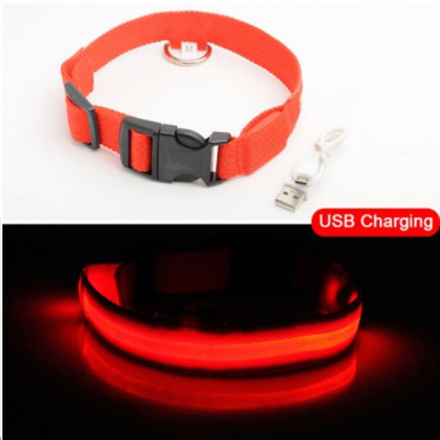 Easy-Find LED Light Dog Collar | Multi Size