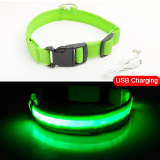 Easy-Find LED Light Dog Collar | Multi Size