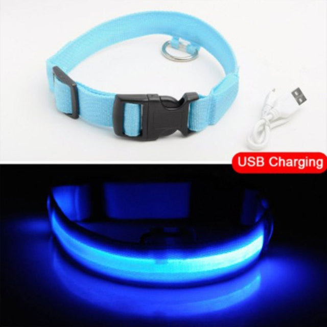 Easy-Find LED Light Dog Collar | Multi Size