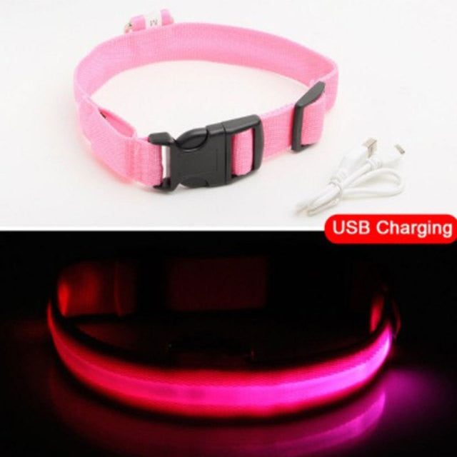 Easy-Find LED Light Dog Collar | Multi Size