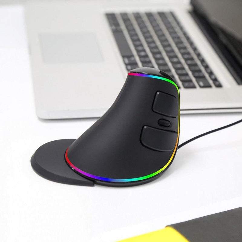 Delux M618Plus RGB 4000 DPI Ergonomic 6 Buttons Vertical Mouse