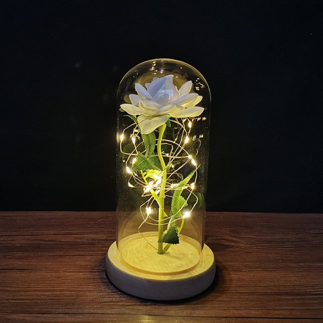 Magical Glass Light Dome Forever Rose | Valentines Day Gift