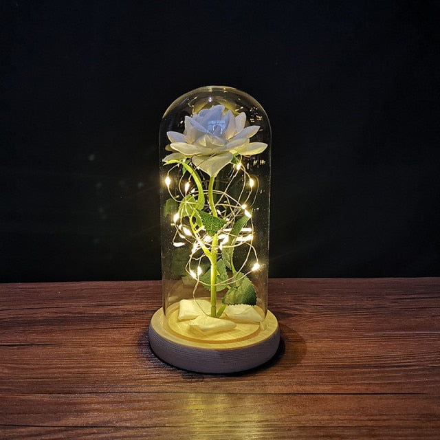 Magical Glass Light Dome Forever Rose | Valentines Day Gift