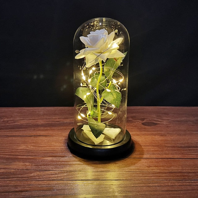 Magical Glass Light Dome Forever Rose | Valentines Day Gift