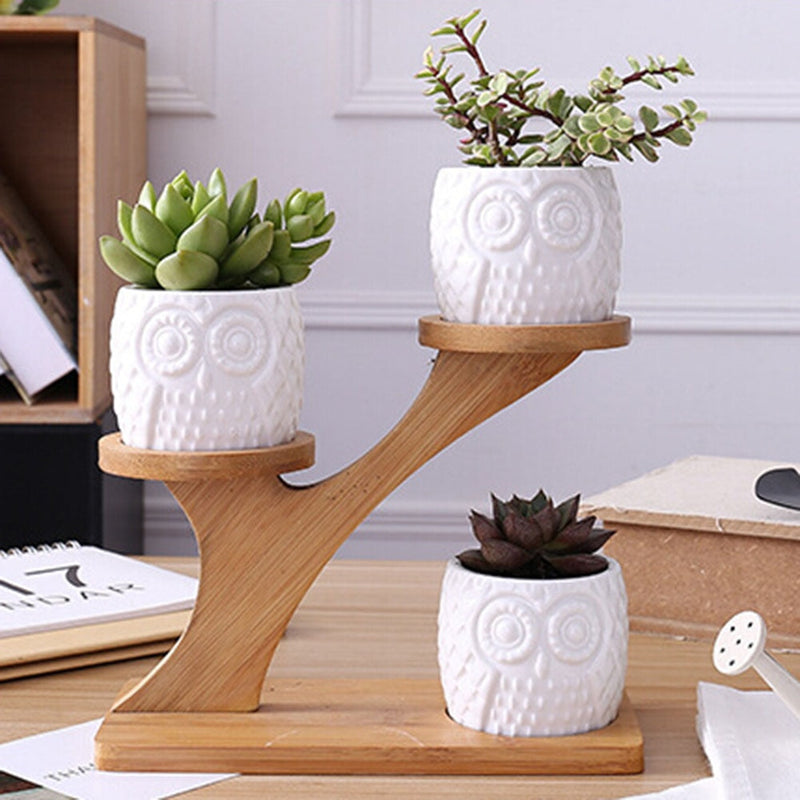 OwlTree | Ceramic Owl Mini-Pots & Wooden Stand