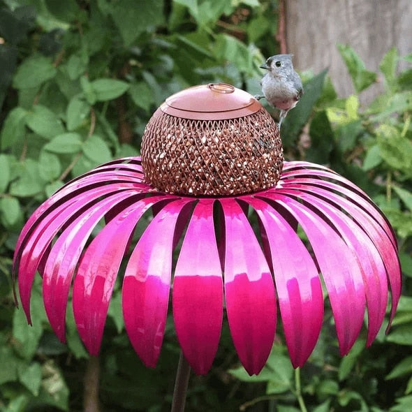 Giant Coneflower Bird Feeder