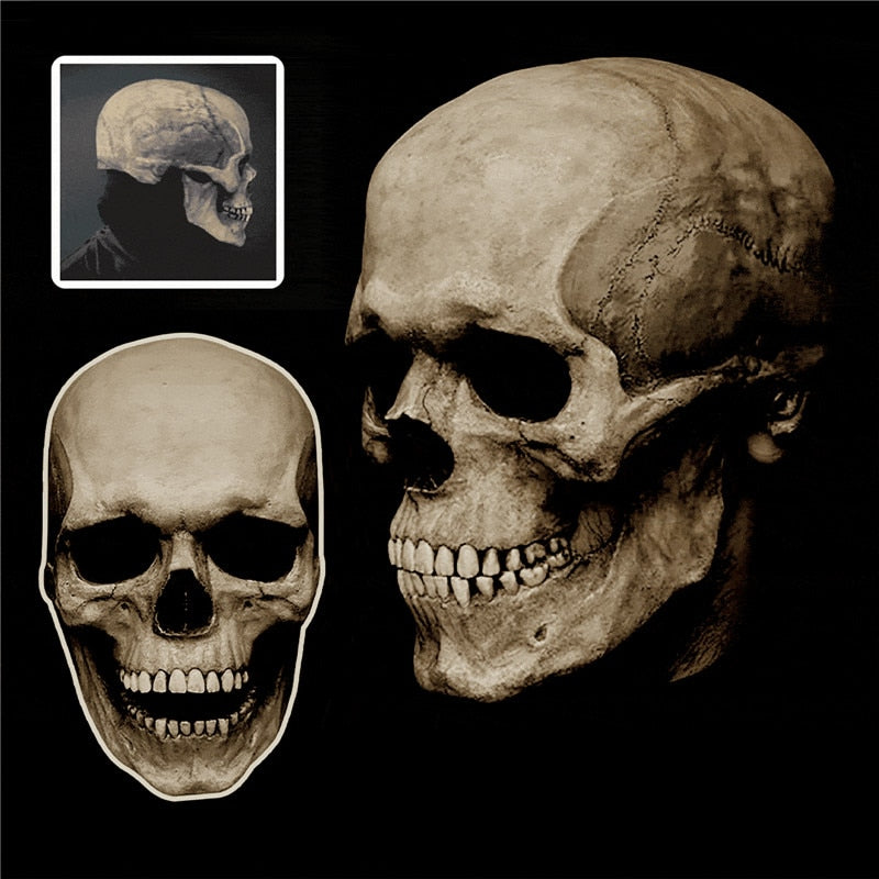 Halloween 2022 Full Head Skull Mask - Movable Jaw Mask, Scary Halloween Mask Custom, human skull mask