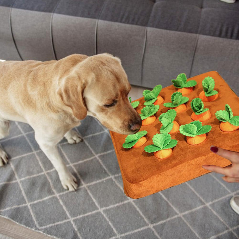 Carrot Snuffle Pillow with Stuffed Carrots