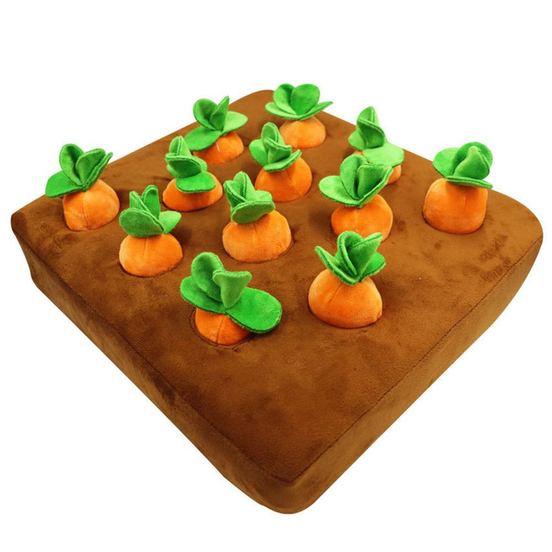 Carrot Snuffle Pillow with Stuffed Carrots