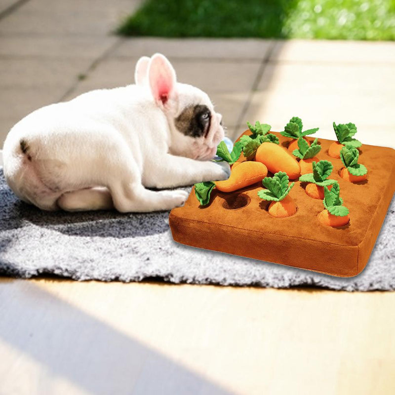 Carrot Snuffle Pillow with Stuffed Carrots