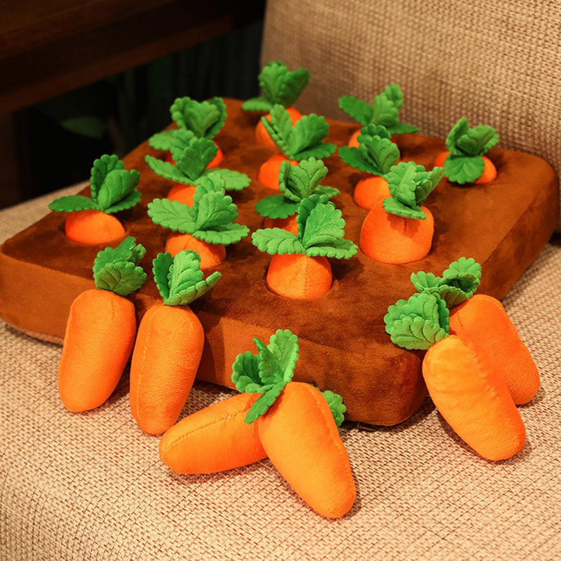 Carrot Snuffle Pillow with Stuffed Carrots