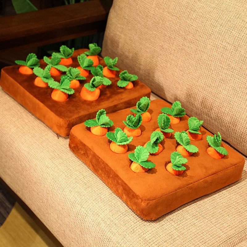 Carrot Snuffle Pillow with Stuffed Carrots