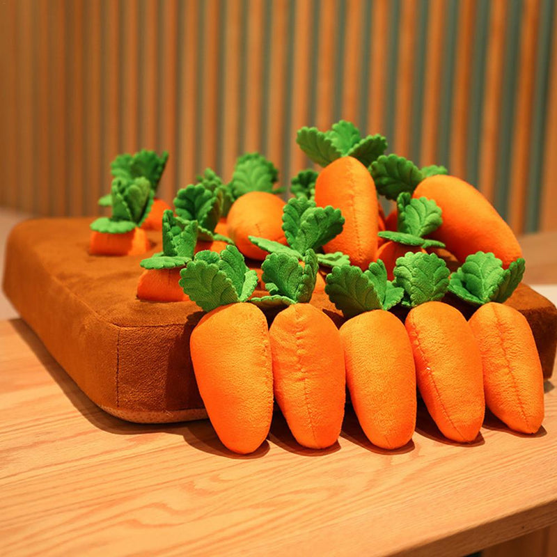 Carrot Snuffle Pillow with Stuffed Carrots