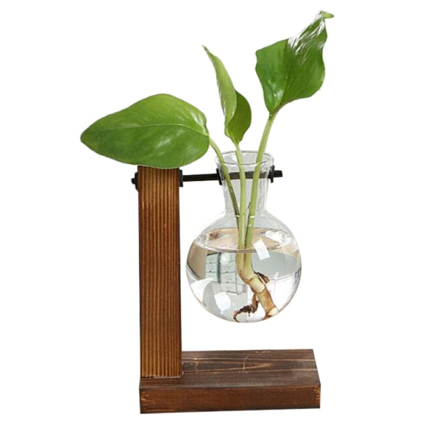 DoubleVase | Elegant Hydroponic Vase & Wooden Stand