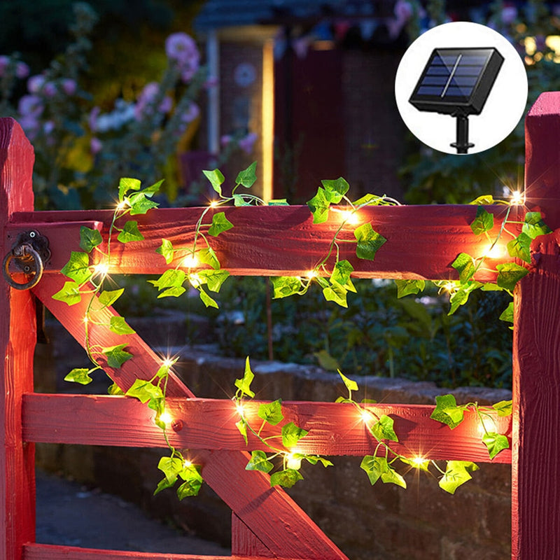 Solar Rattan Lights