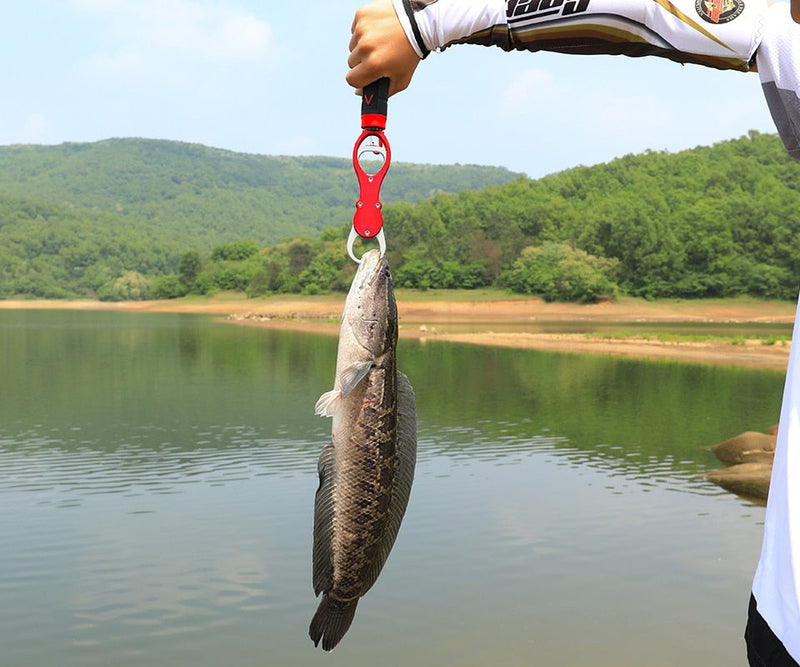 Professional Grade Fish Gripper / Lip Holder