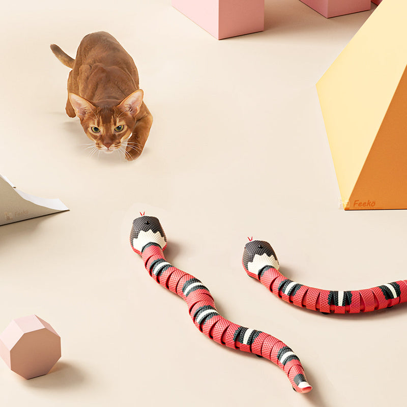 KittySnake | Robotic Snake Toy for Pets