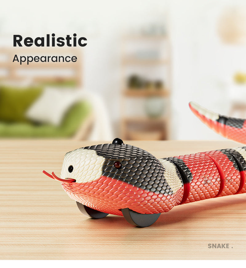 KittySnake | Robotic Snake Toy for Pets