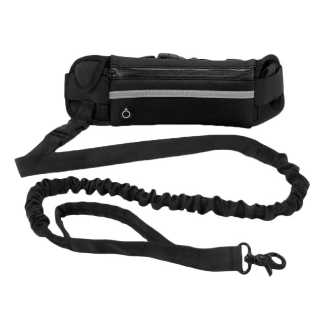 Hands-Free Dog Leash & Waist Pouch