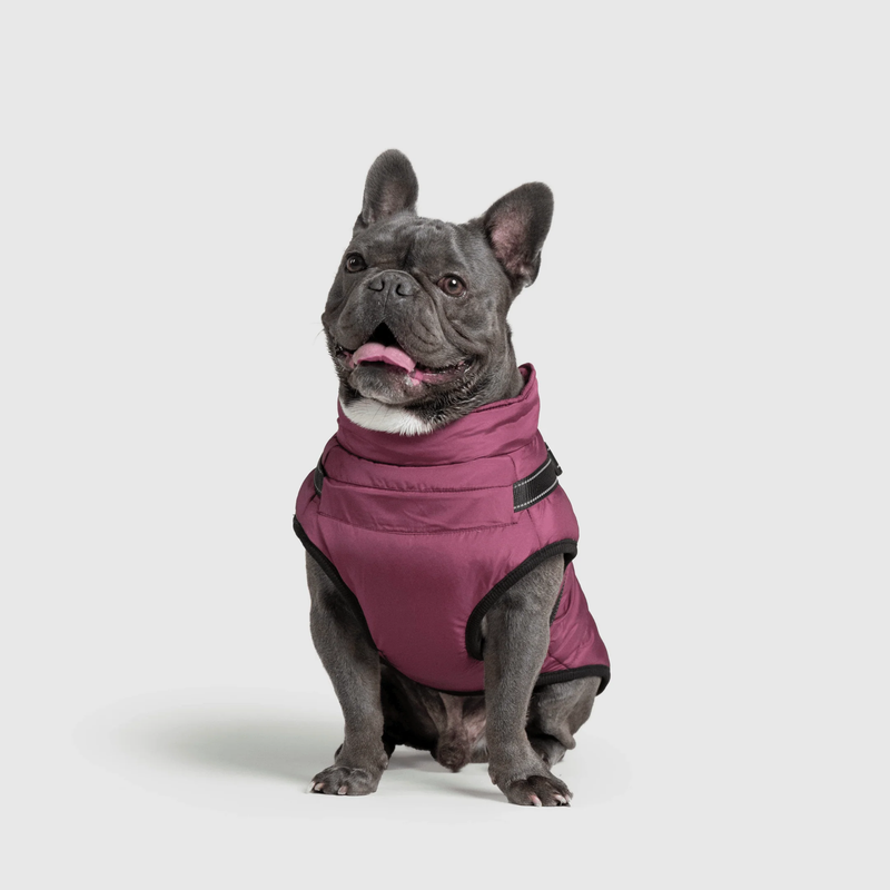 3 in 1 Winter Jacket