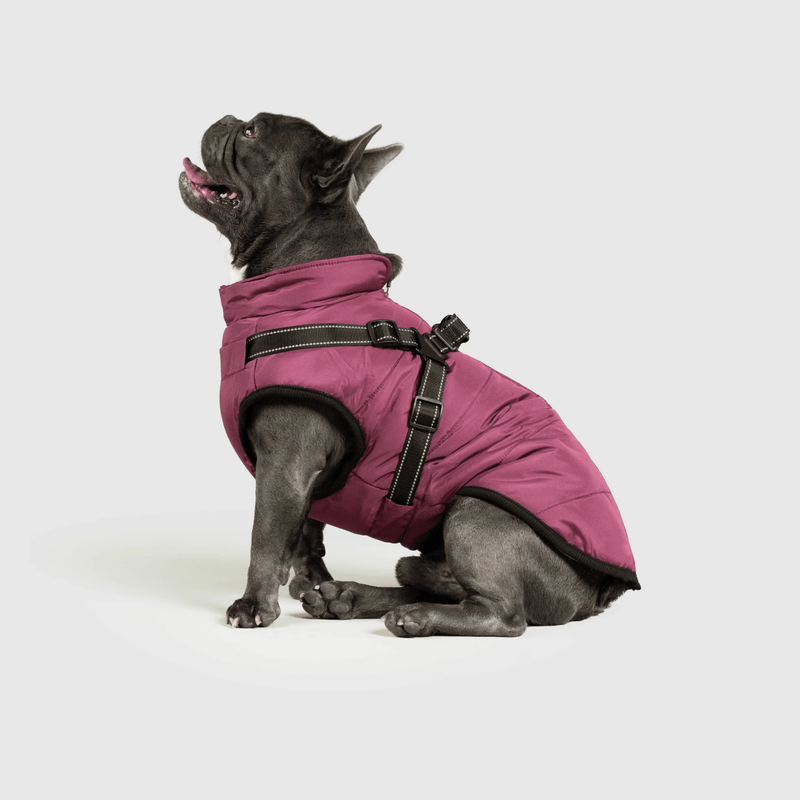3 in 1 Winter Jacket