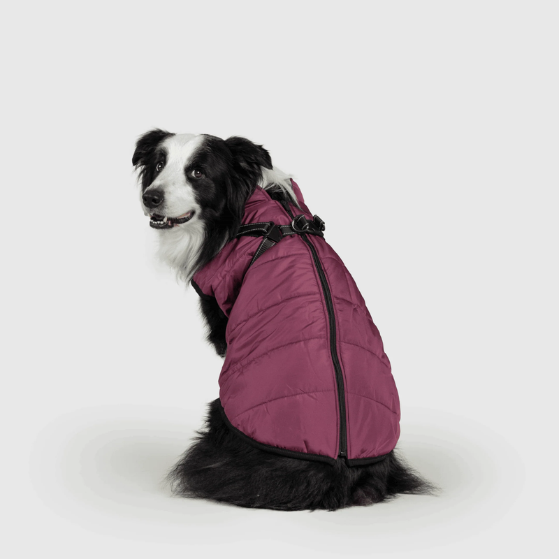 3 in 1 Winter Jacket