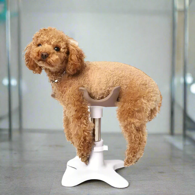 Puppy Grooming Bath Table – Pet Grooming Fixer Tool Accessory for Dogs, Poodles, Pomeranians & Bichon Frise