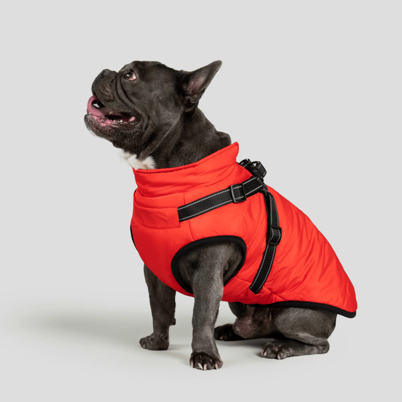 3 in 1 Winter Jacket