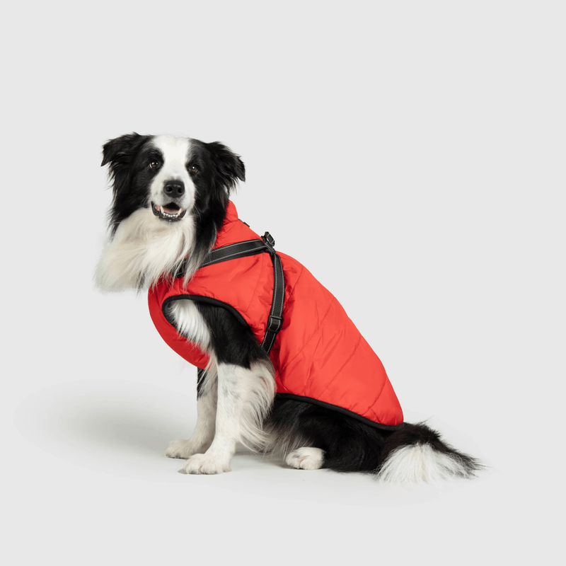 3 in 1 Winter Jacket