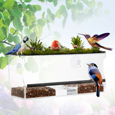 ACRYLIC SUCTION CUP WINDOW BIRD FEEDER