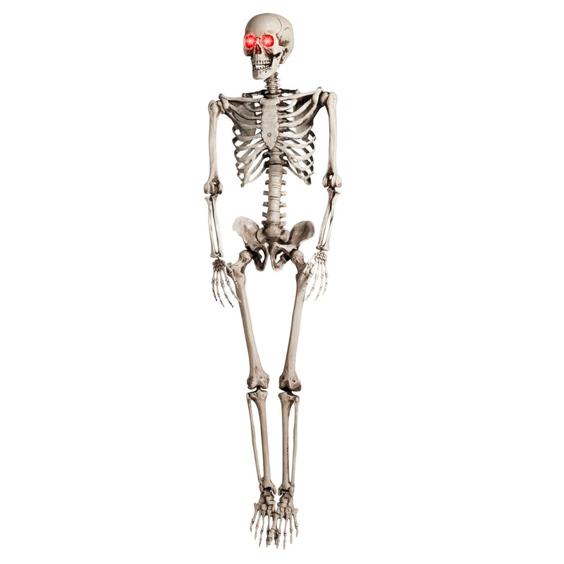 Halloween Prop 5Ft Skeleton Full Size Giant Decoration Skeleton Skull Hand Lifelike Fake Human Body Poseable Anatomy Model Party