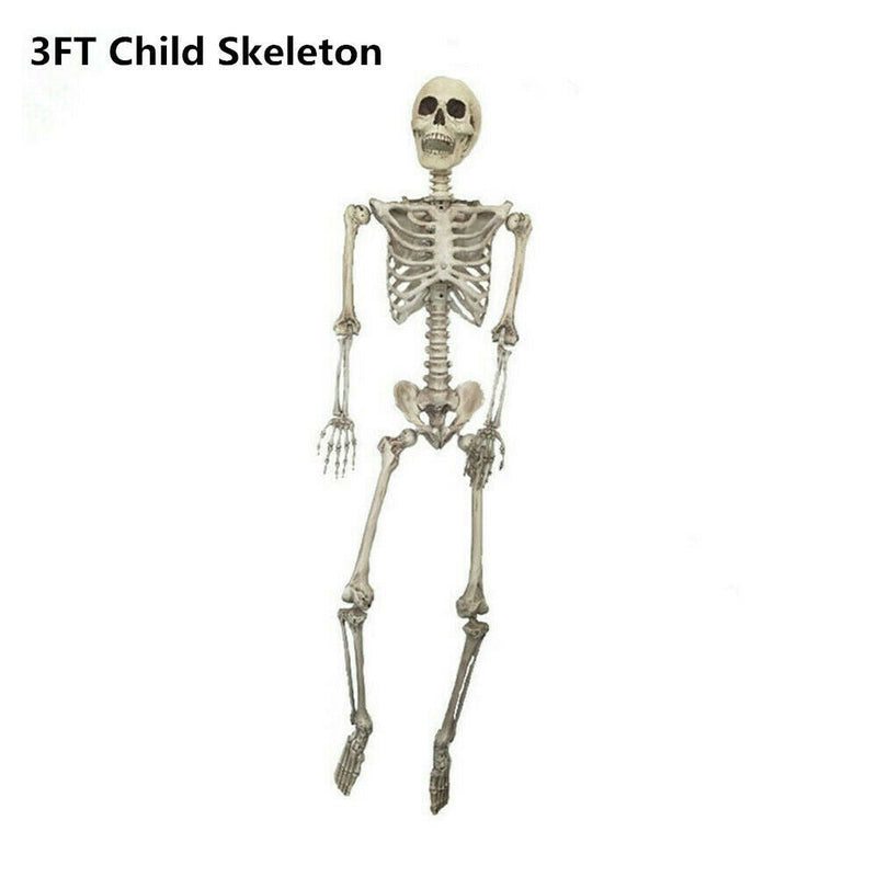 Halloween Prop 5Ft/3Ft Skeleton Full Size Giant Decoration Skeleton Skull Hand Lifelike Fake Human Body Poseable Anatomy Model Party Park