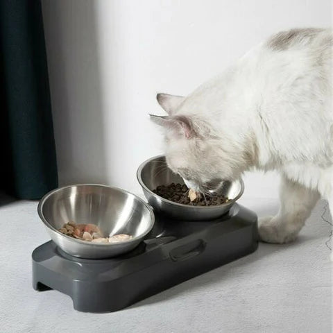 Elevated Pet Dog And Cat Feeder Bowls With Stand