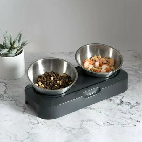 Elevated Pet Dog And Cat Feeder Bowls With Stand