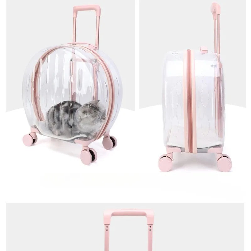 Transparent Pet Suitcase – Large Capacity Bubble Box for Stylish Pet Travel