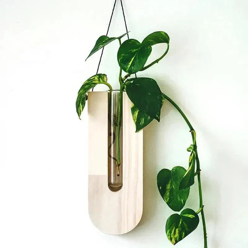 Vintage Wall Hanging Vase │ Wooden Hydroponic Wall Mounted Plant Hangers │ Transparent Glass Tube Flower Pot