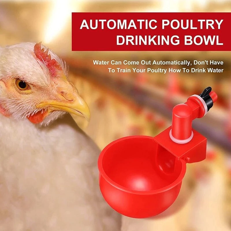 Automatic Chicken Cup Waterer, Auto Poultry Water Bowel Feed for Coop & Flock, Birds, Ducks, Hens Coop Ideas