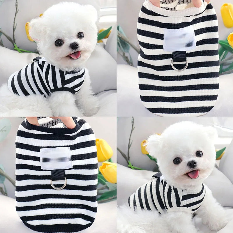 Striped Summer Dog Dress – Fashionable, Leashable & Ultra-Soft Outfit for Stylish Pups